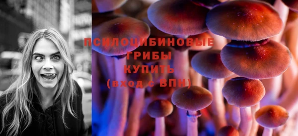 спиды Михайловка