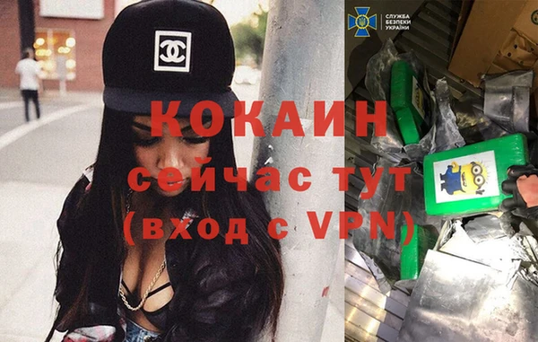 соль ск Михайлов