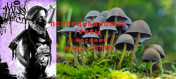 соль ск Михайлов