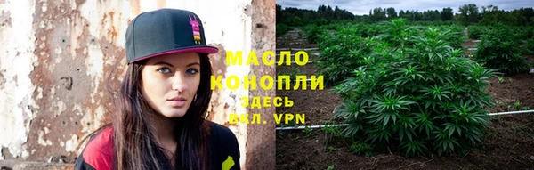 соль ск Михайлов