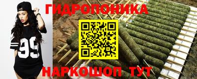 ешки Гатчина