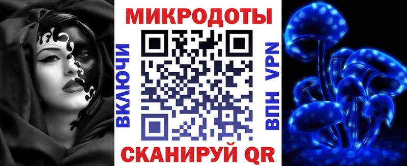 Псилоцибиновые грибы Psilocybe  Анапа 