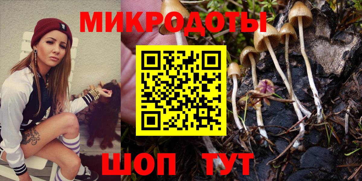 Псилоцибиновые грибы мицелий  Анапа 