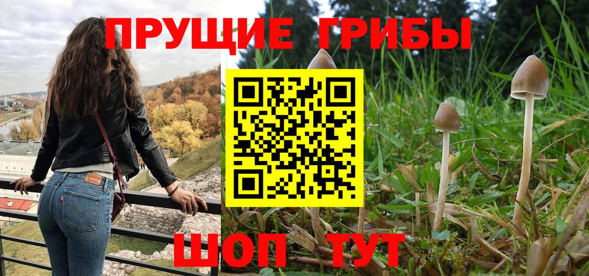 Анапа  Псилоцибиновые грибы Magic Shrooms  Вход с VPN 