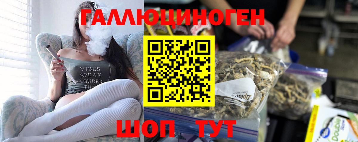 Псилоцибиновые грибы Magic Shrooms Анапа