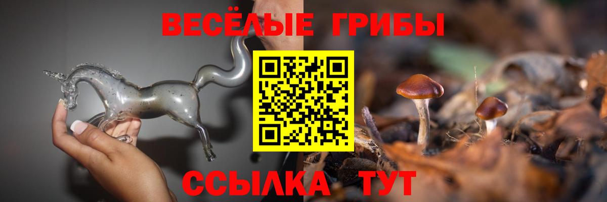 Псилоцибиновые грибы GOLDEN TEACHER Анапа